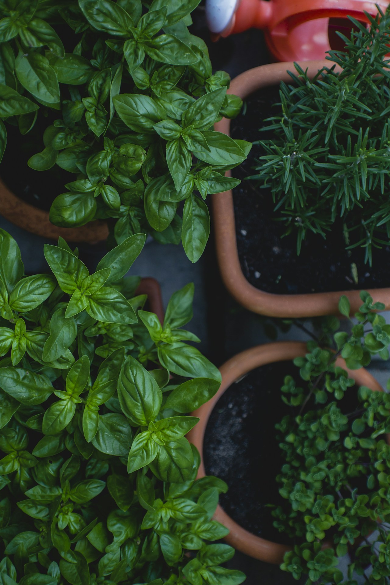 Respecter les espaces plantés